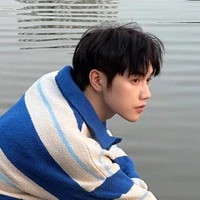 Thái Sơn-sol