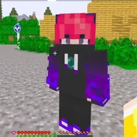hiha enderman