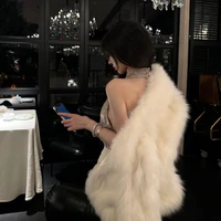 Hạ Tiểu Lan