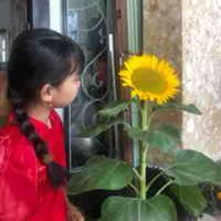 Nhỏ T/g 