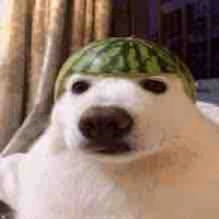 All