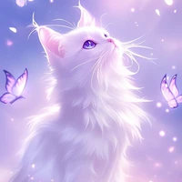 Nguyệt Miêu - cá thể chung