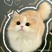 Tác giả siuuu cuteee