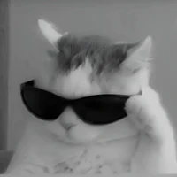 t nek "tg"