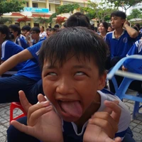 N.bảo