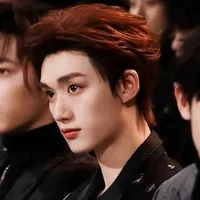 Đinh Trình Hâm_Hắn¹