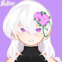 Sulker