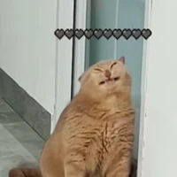 tác giả đẹp trai dell ai bằng👽💝