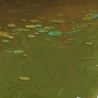 Biệt Đội Kamado 