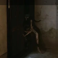 CHXHCN Việt Nam