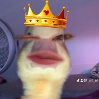T/G