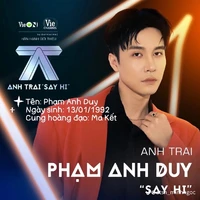 phạm anh duy