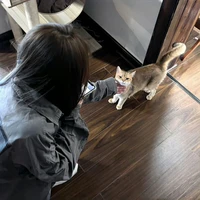 Chu An Nhật