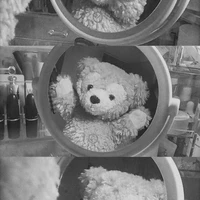 ᴵᴬᴹᴅᴏʀɪs⋅˚₊‧ ଳ⋆.࿔*:･