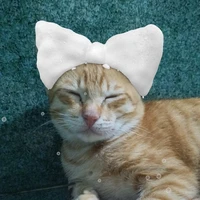 Miin (Tg)
