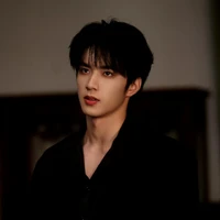 Lưu Diệu Văn ( anh )