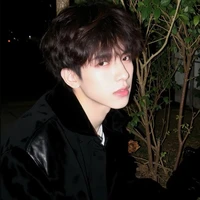 Trần Đăng Hoàng