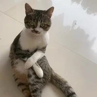 t/g là kao