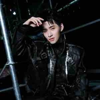 Hùng huỳnh(Gemini)