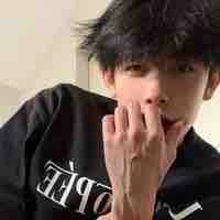 Hoàng Gia Huy-shiba