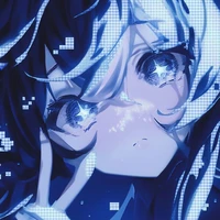 Y/N