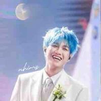 Hoàng Đức Duy (bông)