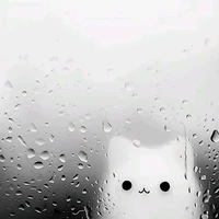 All