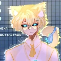 Hiha anti catnap