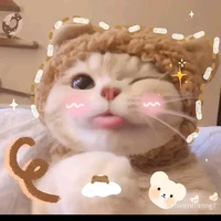 Hệ Thống | Miu |❀