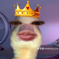 Tường Vyy_T/g