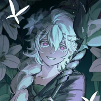 white lily