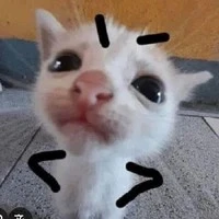 nhỏ t/g