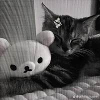 💤ebe thích ngủ 💤 TG