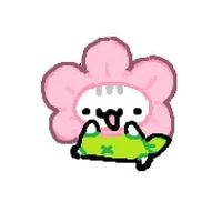 name N