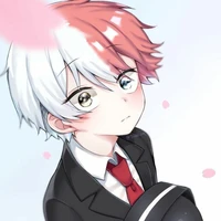 Todoroki Shoutochi