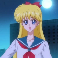 minako aino