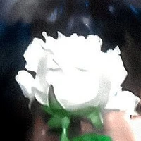 Chủ tịch tương lai của SDFJ💔