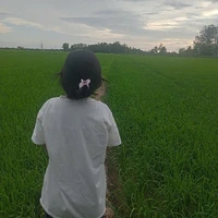 T/g bị zô trii