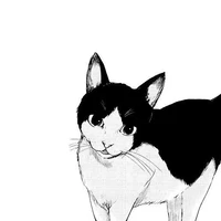 001 - Heto