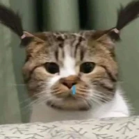 Trịnh =))