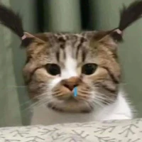 Trịnh =))