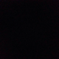 Lực lượng The Queen