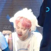 sơn - jsol