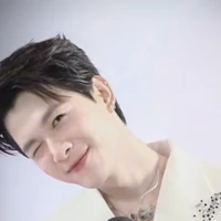 Bùi Anh Tú