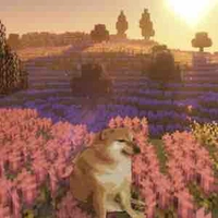 Cân hết mọi nhân vật