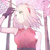 Sakura