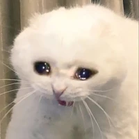 độc giả
