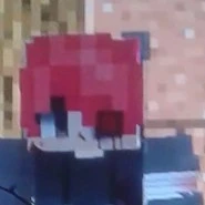 Hiha Opps ⟨ Con gấu biết nói ⟩