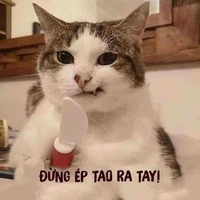 Mọi người