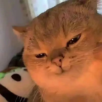 Đéo sợ nhân vật nào